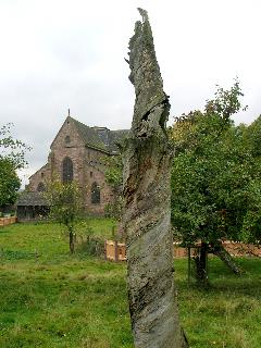 imm_2462_m.jpg