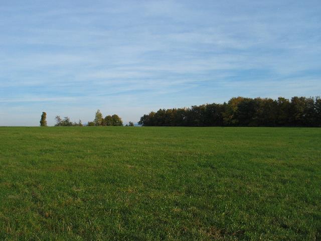 imm_2465_g.jpg