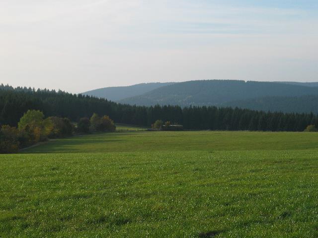 imm_2466_g.jpg