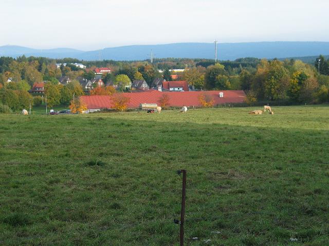 imm_2467_g.jpg