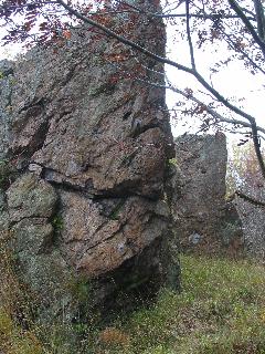 imm_2471_m.jpg