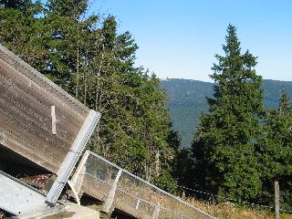 imm_2474_m.jpg