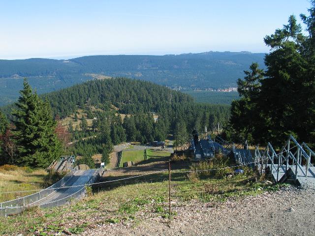 imm_2475_g.jpg