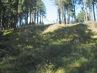 imm_2476_m.jpg