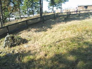 imm_2482_m.jpg