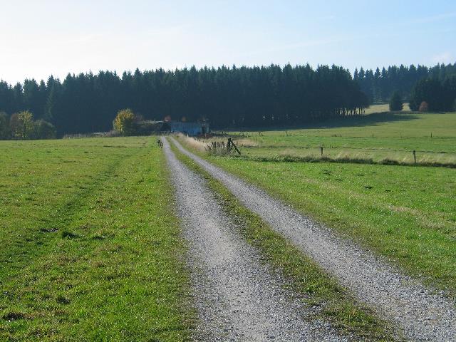 imm_2493_g.jpg