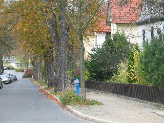 imm_2604_m.jpg
