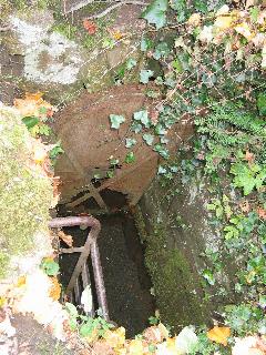 imm_2612_m.jpg