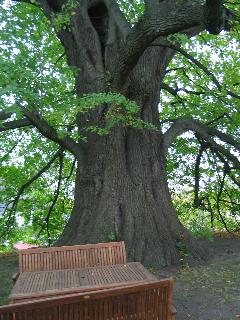imm_2615_m.jpg