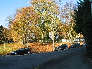 imm_2617_m.jpg