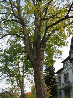 imm_2669_m.jpg