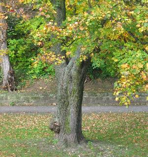 imm_2670_m.jpg
