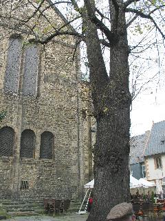 imm_2671_m.jpg