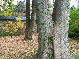 imm_2673_m.jpg