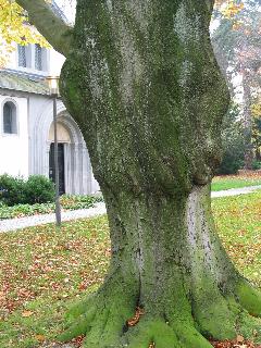 imm_2679_m.jpg
