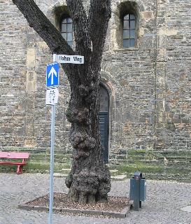 imm_2684_m.jpg