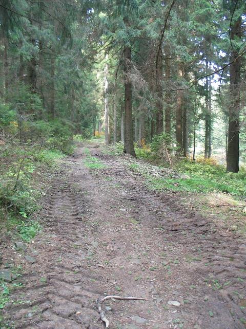 imm_2725_g.jpg