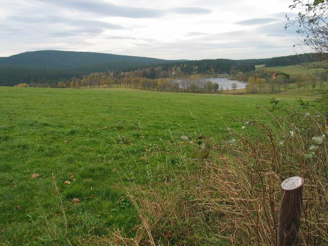imm_2727_g.jpg