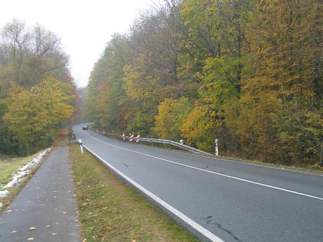 imm_2753_g.jpg