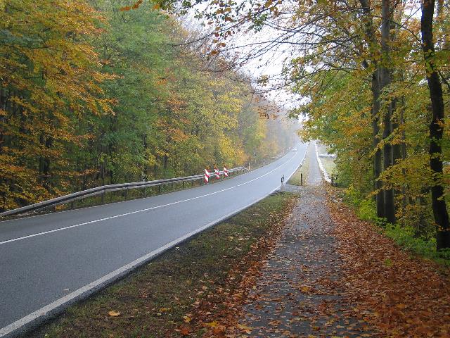 imm_2754_g.jpg