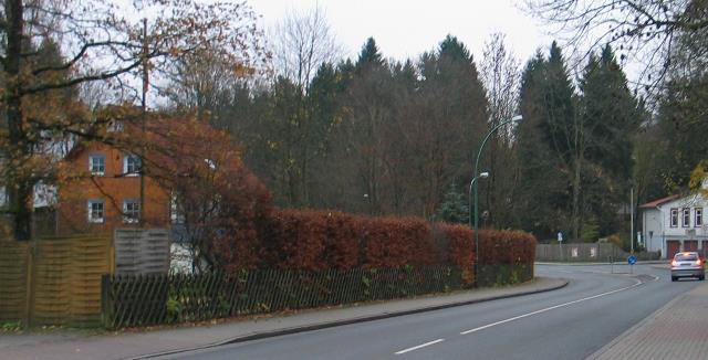 imm_2799-a_g.jpg