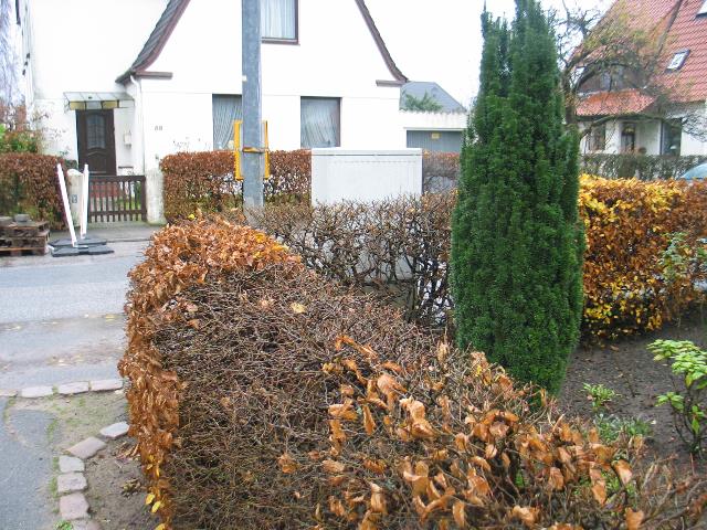 imm_2906_g.jpg
