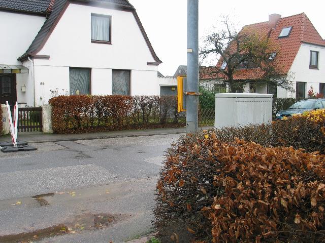 imm_2912_g.jpg