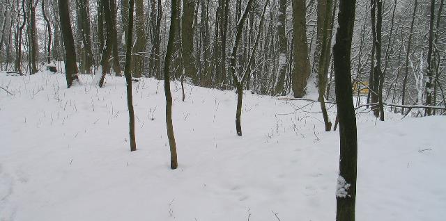 imm_3040-a_g.jpg