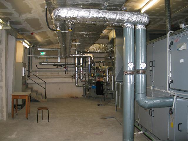 imm_3106_g.jpg