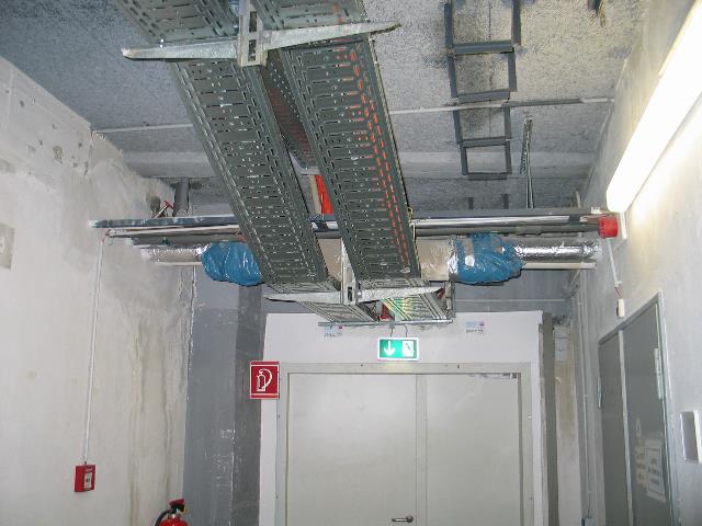 imm_3107_g.jpg