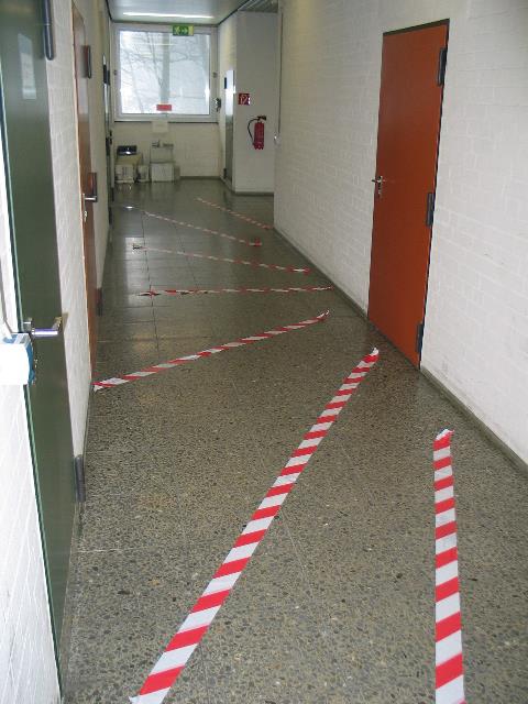 imm_3118_g.jpg