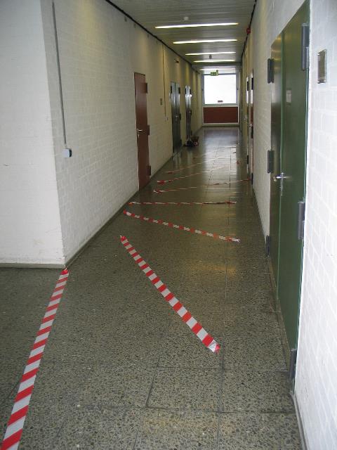 imm_3120_g.jpg