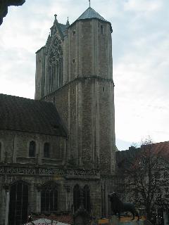 imm_3213_m.jpg