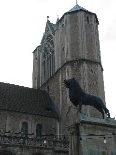 imm_3216_m.jpg