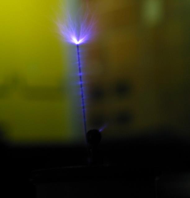 imm_3358_g.jpg