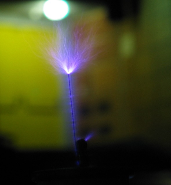 imm_3359_g.jpg