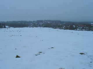 imm_3393_m.jpg