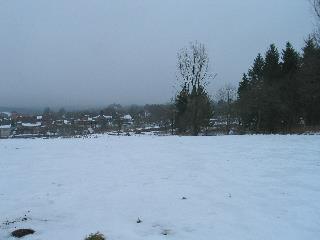 imm_3395_m.jpg