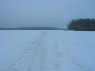 imm_3403_m.jpg