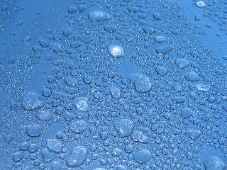 imm_3512_m.jpg