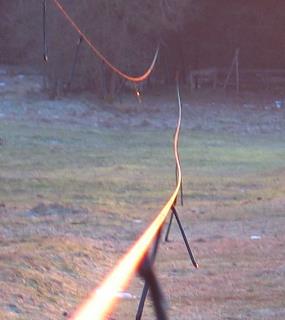 imm_3520_m.jpg