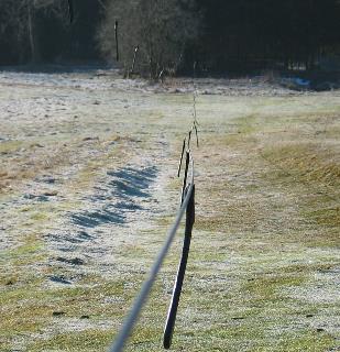 imm_3542_m.jpg