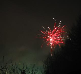 imm_3608_m.jpg