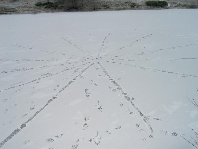 imm_3612_g.jpg