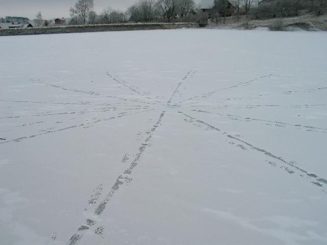 imm_3616_g.jpg