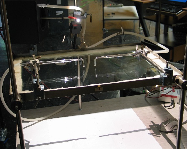 imm_4037_g.jpg
