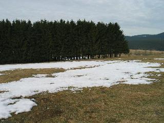imm_4045_m.jpg