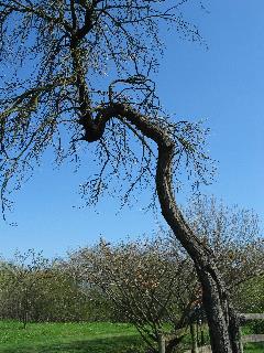 imm_4261_m.jpg