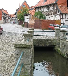 imm_4352_m.jpg