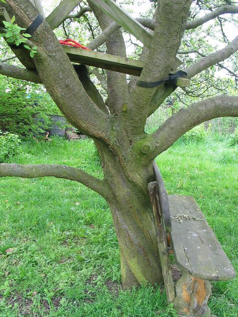 imm_4364_g.jpg